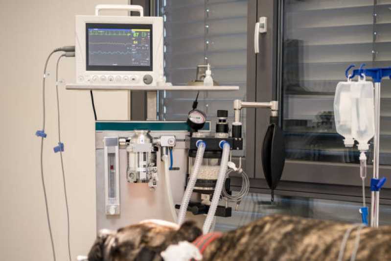 Clínica Especializada em Exame de Raio X para Animais Jardim Bela Vista - Exame Eletrocardiograma Veterinário