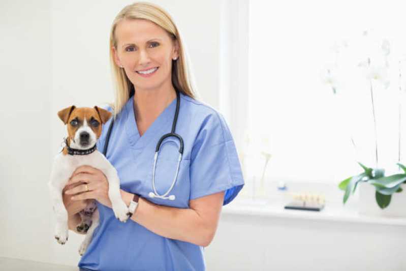 Clínica Especializada em Ortopedista Veterinário Vila Ipê - Ortopedia para Cachorro