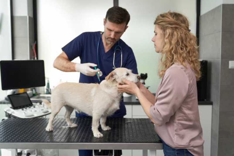 Clínica Veterinária para Cachorro Chácara Flora - Clínica Veterinária de Cães e Gatos