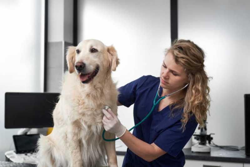 Clínica Veterinária para Cães Contato Jardim dos Estados - Clínica Veterinária Próximo de Mim