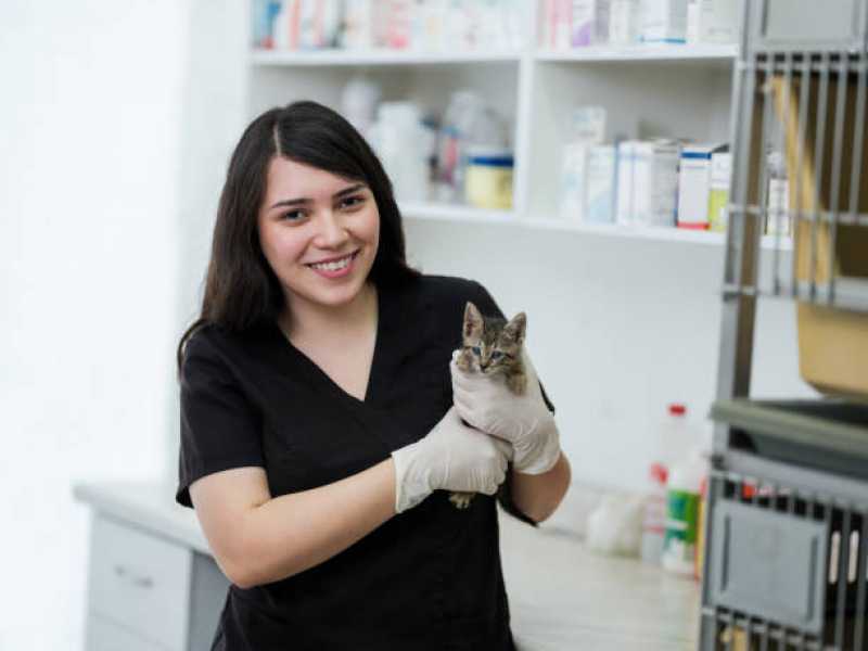 Farmácia com Medicamentos para Animais Contato Vila Ipê - Farmácia Veterinária Mais Próxima Santo Amaro