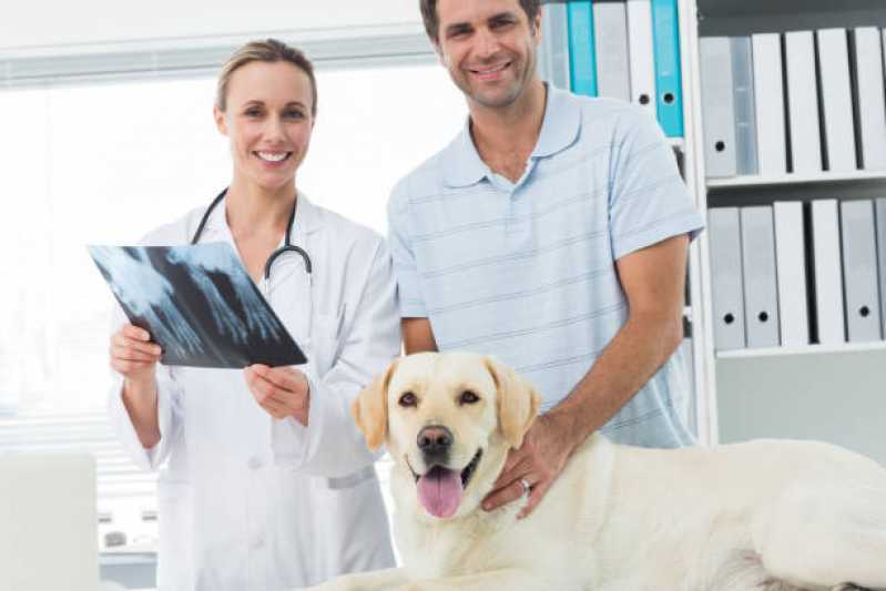 Ortopedia Animal Clínica Santo Amaro - Ortopedista para Gatos
