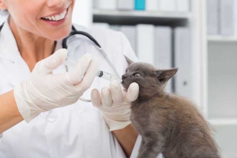 Telefone de Clínica Veterinária para Animais Domésticos Serra Pelada - Clínica Veterinária de Cães e Gatos