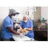 cirurgia veterinária de limpeza de dentes marcar Cidade Monções
