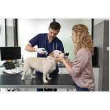 clínica veterinária cães e gatos Jardim Promissão