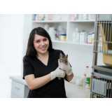 Farmácia com Medicamentos para Animais