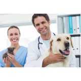 veterinário para cachorro telefone Vila Cais