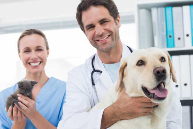 Veterinário para Cachorro Telefone Vila Cais - Veterinário Vacinas